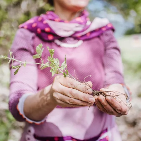 Alpimena Natur-apartments Appartamento Merano