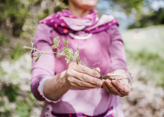 Alpimena Natur-apartments Apartment Meran